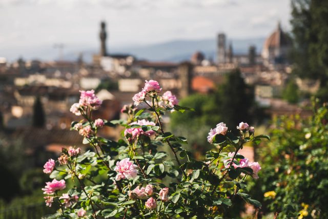 FIRENZE TOSCANA ITALIA FIORI COLORE PHOTOGRAPHY TRAVEL BLOGGER