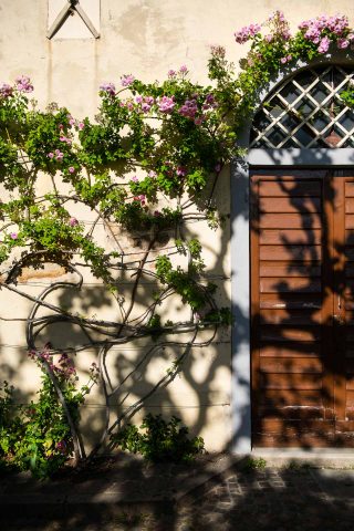 FIRENZE TOSCANA ITALIA FIORI COLORE PHOTOGRAPHY TRAVEL BLOGGER