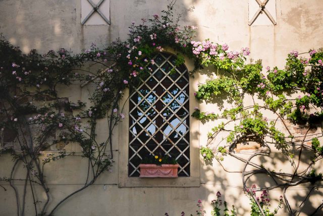 FIRENZE TOSCANA ITALIA FIORI COLORE PHOTOGRAPHY TRAVEL BLOGGER