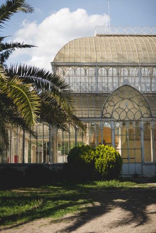 FIRENZE TOSCANA ITALIA FIORI COLORE PHOTOGRAPHY TRAVEL BLOGGER