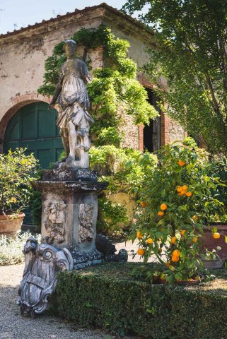 FIRENZE TOSCANA ITALIA FIORI COLORE PHOTOGRAPHY TRAVEL BLOGGER