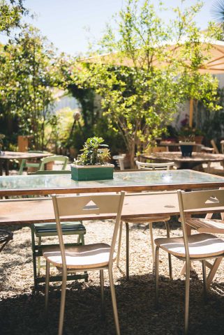 FIRENZE TOSCANA ITALIA FIORI COLORE PHOTOGRAPHY TRAVEL BLOGGER