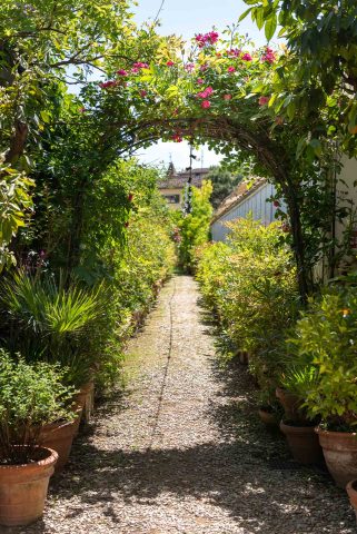 FIRENZE TOSCANA ITALIA FIORI COLORE PHOTOGRAPHY TRAVEL BLOGGER