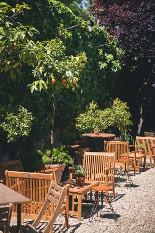 FIRENZE TOSCANA ITALIA FIORI COLORE PHOTOGRAPHY TRAVEL BLOGGER