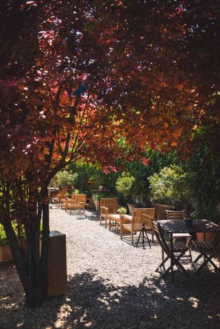 FIRENZE TOSCANA ITALIA FIORI COLORE PHOTOGRAPHY TRAVEL BLOGGER