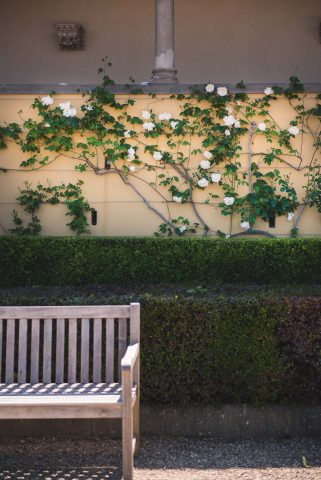 FIRENZE TOSCANA ITALIA FIORI COLORE PHOTOGRAPHY TRAVEL BLOGGER