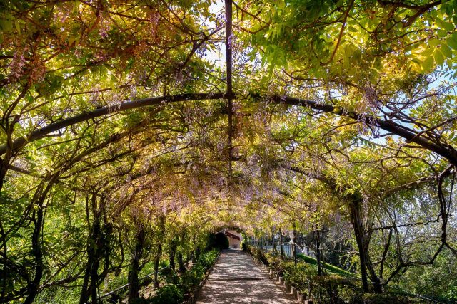 FIRENZE TOSCANA ITALIA FIORI COLORE PHOTOGRAPHY TRAVEL BLOGGER