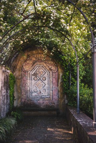 FIRENZE TOSCANA ITALIA FIORI COLORE PHOTOGRAPHY TRAVEL BLOGGER