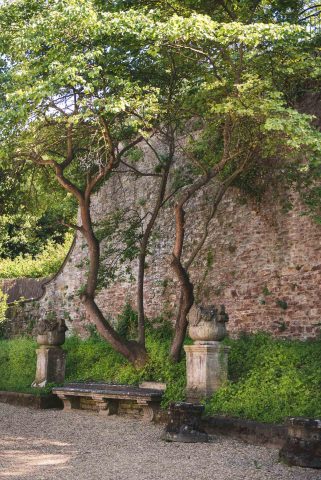 FIRENZE TOSCANA ITALIA FIORI COLORE PHOTOGRAPHY TRAVEL BLOGGER