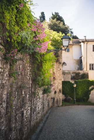 FIRENZE TOSCANA ITALIA FIORI COLORE PHOTOGRAPHY TRAVEL BLOGGER