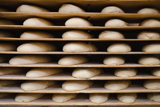 FIRENZE TOSCANA PISA PRATO PANE OLIO VINO FOOD PHOTOGRAPHY TRAVEL