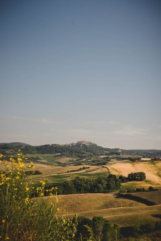 TOSCANA CHIANTI HILLS COLLINE VINO TRAVEL BLOGGER ITALY EMOTIONAL-