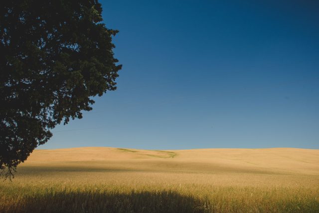 TOSCANA CHIANTI HILLS COLLINE VINO TRAVEL BLOGGER ITALY EMOTIONAL-