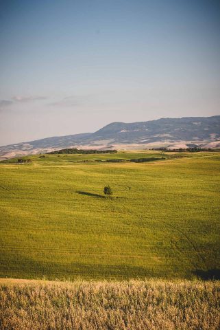 TOSCANA CHIANTI HILLS COLLINE VINO TRAVEL BLOGGER ITALY EMOTIONAL-