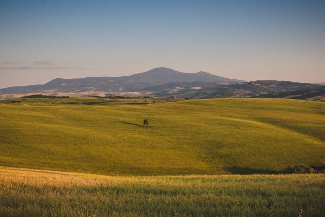 TOSCANA CHIANTI HILLS COLLINE VINO TRAVEL BLOGGER ITALY EMOTIONAL-