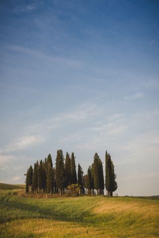 TOSCANA CHIANTI HILLS COLLINE VINO TRAVEL BLOGGER ITALY EMOTIONAL-