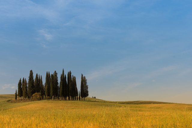 TOSCANA CHIANTI HILLS COLLINE VINO TRAVEL BLOGGER ITALY EMOTIONAL-