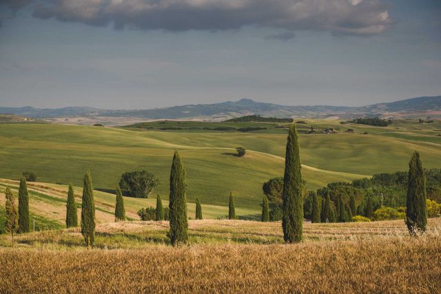 TOSCANA CHIANTI HILLS COLLINE VINO TRAVEL BLOGGER ITALY EMOTIONAL-