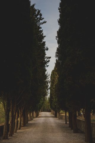 TOSCANA CHIANTI HILLS COLLINE VINO TRAVEL BLOGGER ITALY EMOTIONAL-