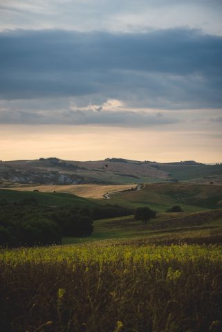 TOSCANA CHIANTI HILLS COLLINE VINO TRAVEL BLOGGER ITALY EMOTIONAL-