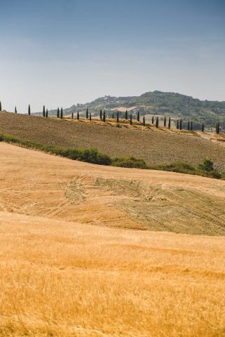 TOSCANA CHIANTI HILLS COLLINE VINO TRAVEL BLOGGER ITALY EMOTIONAL-