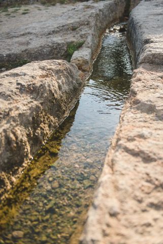 TUSCANY COUNTRY FIRENZE LIVORNO ARNO LUCCA TRAVEL BLOG PASQUALE PARADISO PHOTOGRAPHY-11