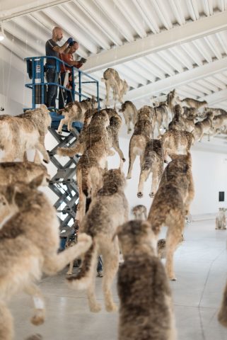 MUSEUM ART FIRENZE TOSCANA LUCCA PRATO PECCI ART CONTEMPORARY