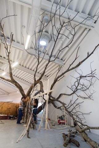 MUSEUM ART FIRENZE TOSCANA LUCCA PRATO PECCI ART CONTEMPORARY